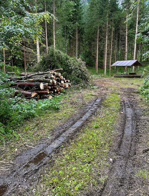 オーストリアのオーストリアアルプスの山々にある自然の牧草地