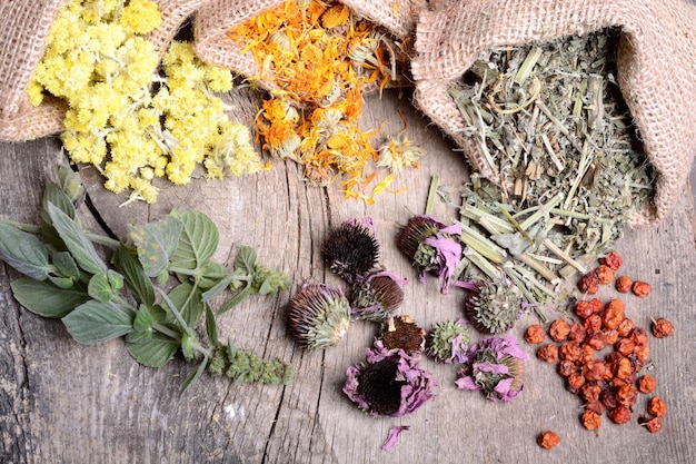 Nature medicine Herbs on wooden background