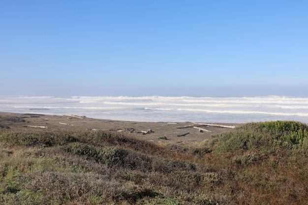 Nature in Mendocino parks in California