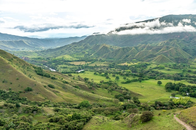 Nature in the mountain landscape of Colombia