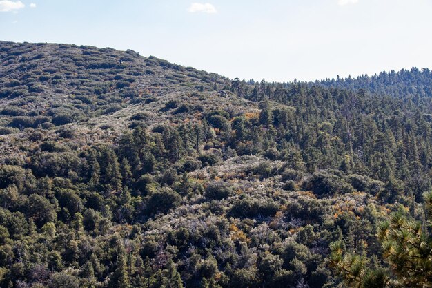 Foto natura paesaggio montano monte laguna california