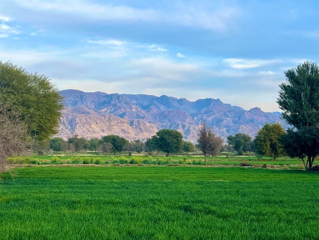 Nature and mountains