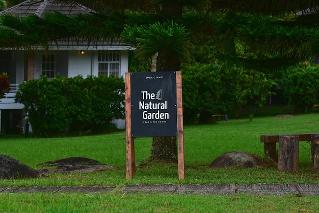 nature 朝露のキャンプ場の自然