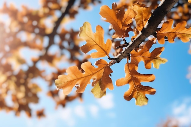 사진 제너레이티브 ai를 통한 자연 팔레트 참나무 잎과 푸른 하늘