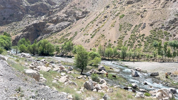 Nature in the Pamir mountains Tajikistan