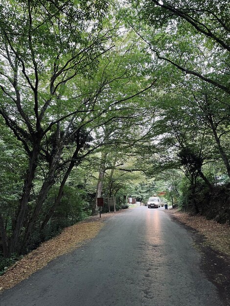 nature park in forest