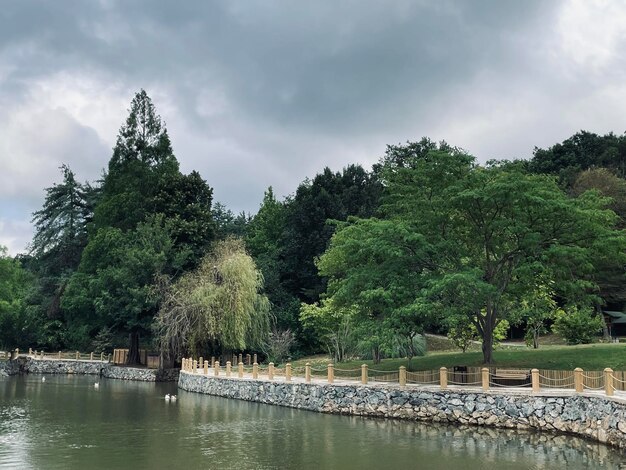 nature park trees and lake