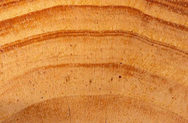 Nature pattern of teak wood texture for background