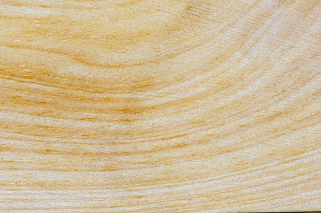 Nature pattern of wood texture for background