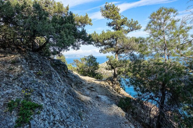 Golitsynトレイルの自然写真黒海と緑豊かなクリミア半島のクリミア山脈の風景クリミア