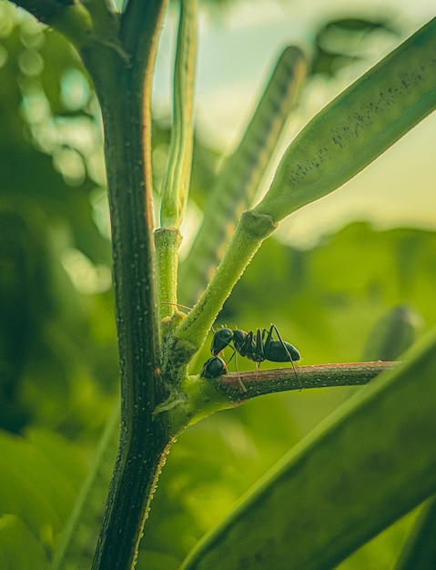 Foto nature picture hd voor behang