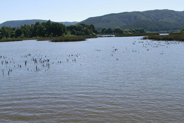 Nature preserve in the town of Validivia Chile