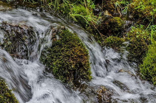 Natura e acqua pura