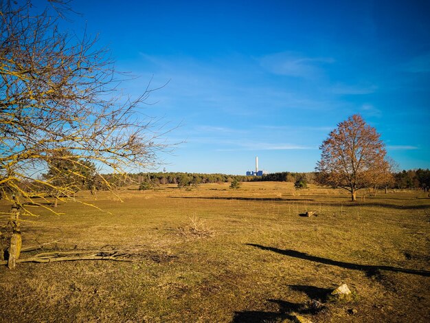 Nature reserve hainberg near nuremberg