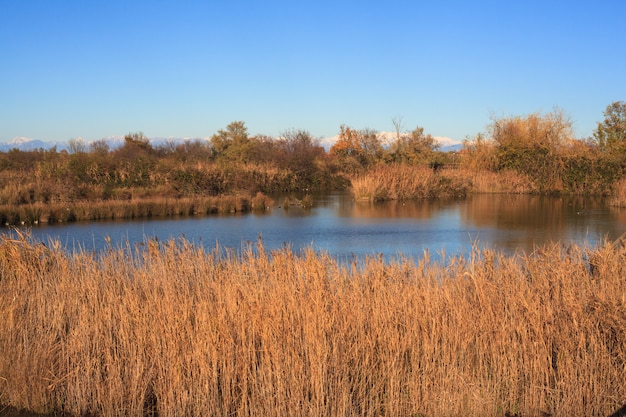 Nature reserve of Valle canal Novo