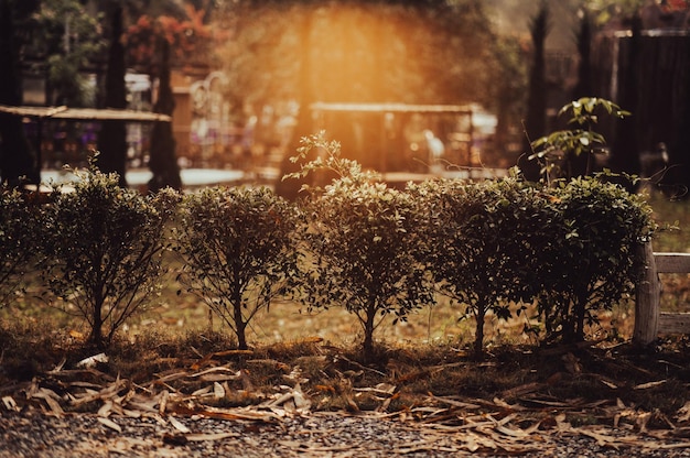 nature resting place coffee shop