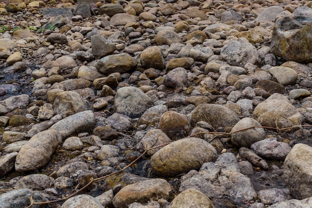 Nature rock on summer dry river