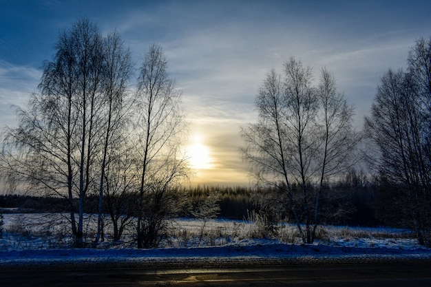 Nature of russia in a frosty winter