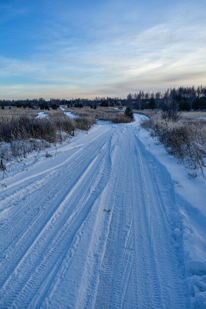 Nature of Russia in a frosty winter