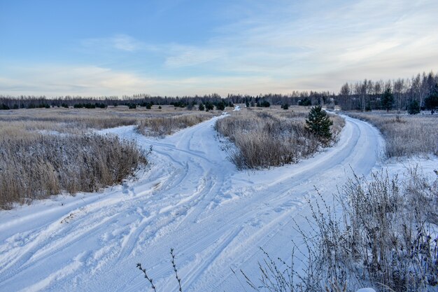 凍るような冬のロシアの自然