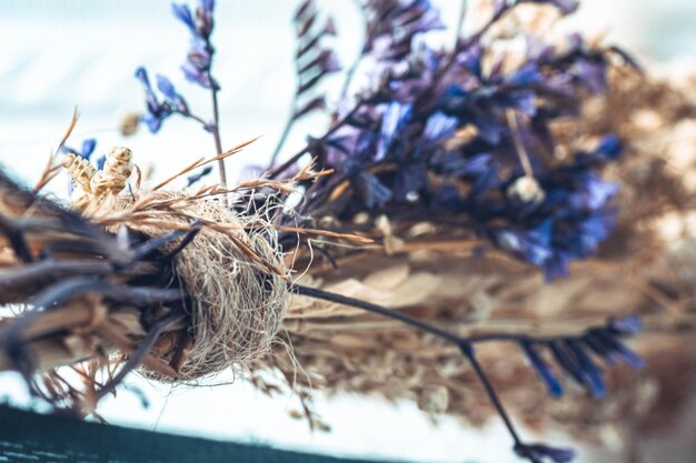 Nature's Artifacts Macro-opname van gedroogde bloemendisplay