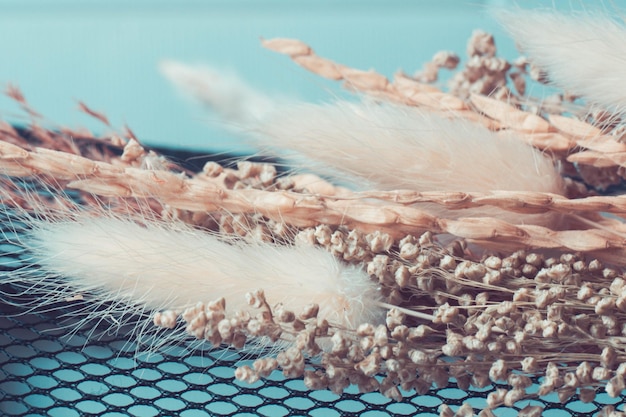 Nature's Artifacts Macro Shot of Dried Flower Display