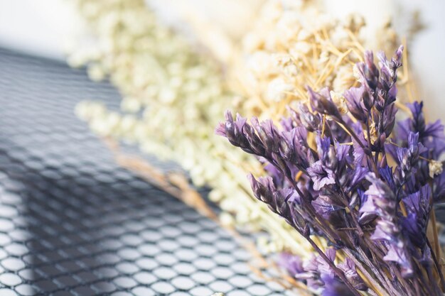 Photo nature's artifacts macro shot of dried flower display