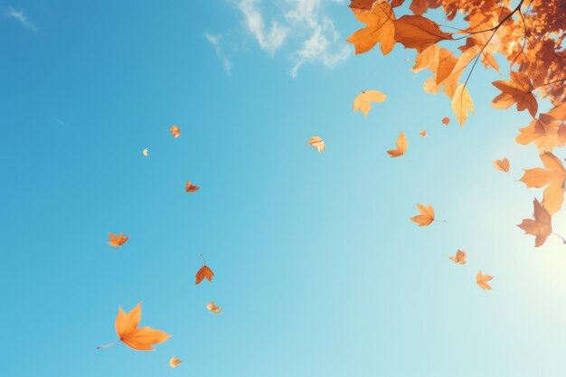 Nature's colorful dance autumn leaves cascading on a clear blue beach sky ar 32