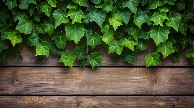 Nature's Embrace AwardWinning CloseUp of Green Ivy Pattern on Wooden Fence