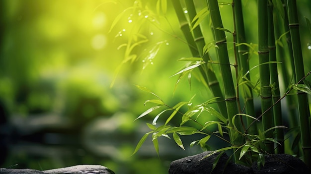 Nature's Serenity Fresh bamboo trees in a lush forest a tranquil scene with a blurred background