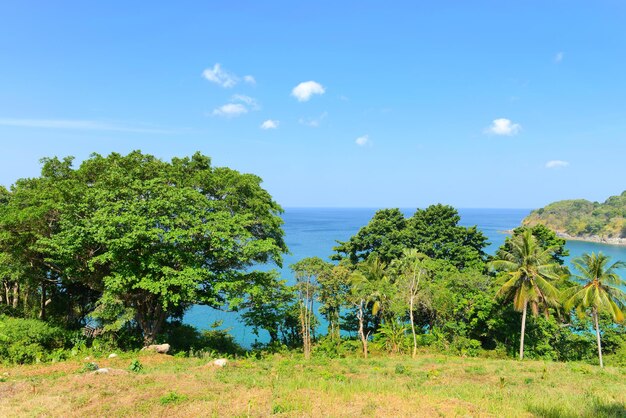 プーケット島、タイの自然シーン熱帯のビーチと青い空