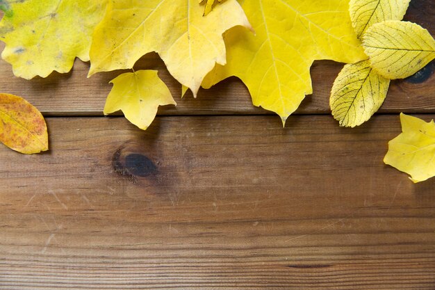 Photo nature, season, advertisement and decor concept - close up of many different fallen autumn leaves on wooden board