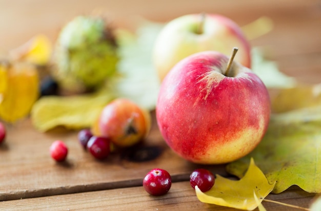 nature, season, autumn and botany concept - close up of autumn leaves, fruits and berries on wooden table