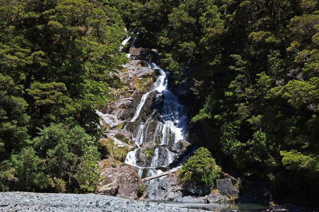 Nature of South island in New Zealand