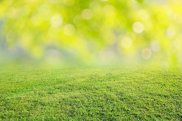 nature spring grass background texture