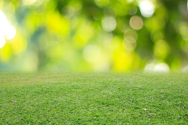 Photo nature spring grass background texture