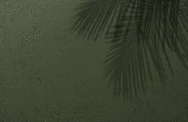 Nature summer background of shadows palm leaves on a green concrete wall