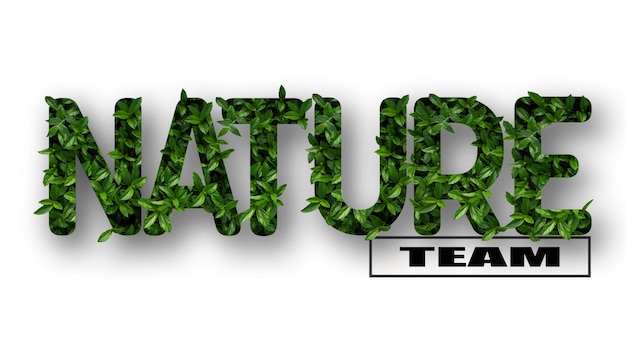 草といくつかの効果で作られたNATURE TEAMテキスト