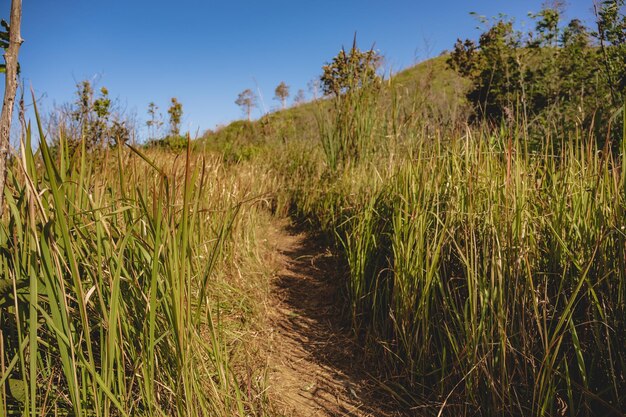 Nature trail on khao khao chang phueak mountianThong Pha Phum National Park's highest mountain is known as Khao Chang Phueak