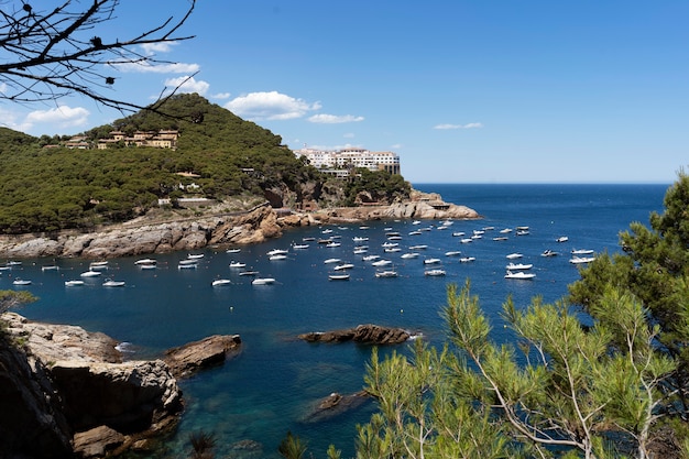 Foto paesaggio di viaggio nella natura con acqua