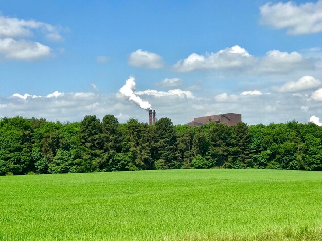 Foto natura v industria