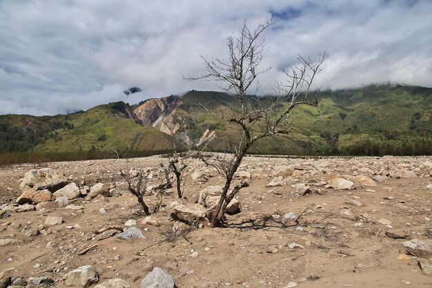 Foto natura della valle di wamena, papua, indonesia