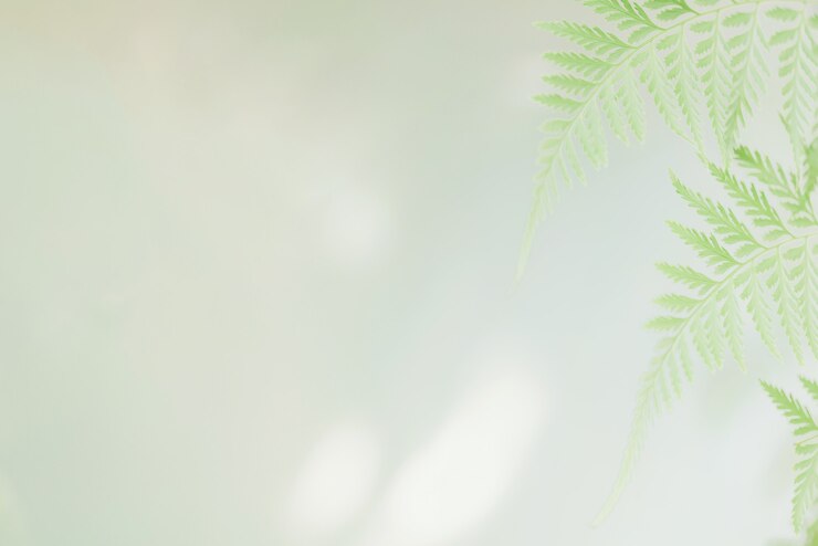 Nature view of Fresh green leaves in garden at summer , ecology, fresh wallpaper concept