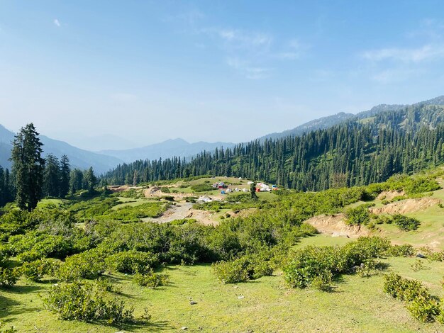 写真 パキスタンのガビーン・ジャバの緑の山々の自然の眺め