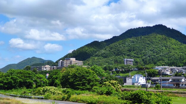 Nature in the village