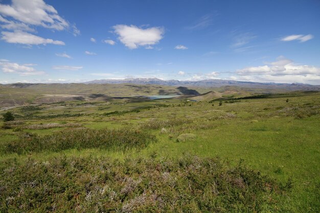 Nature on w trek Patagonia