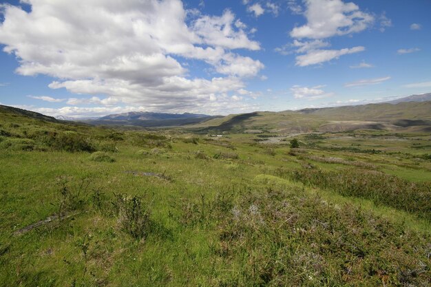 Nature on w trek Patagonia