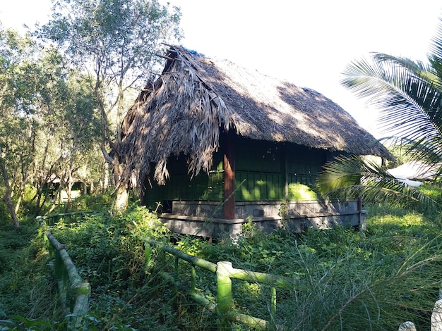 Photo nature walk vietnam hut