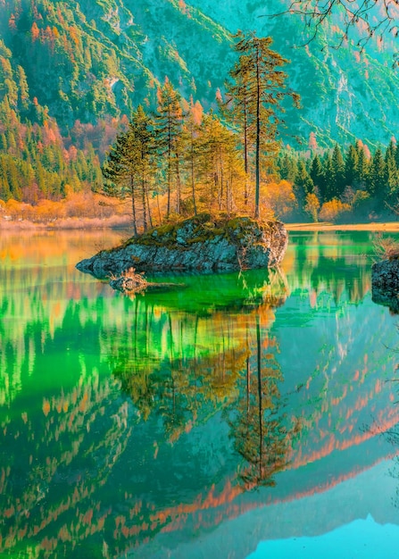 50 Beautiful Nature Wallpapers for your Desktop Mobile and Tablet  HD