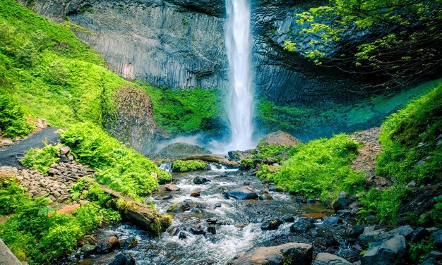 Foto carta da parati della natura, bella carta da parati della natura, sfondi della natura 4k, carta da parati della natura hd, natura verde